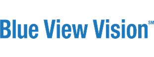 Blue View logo